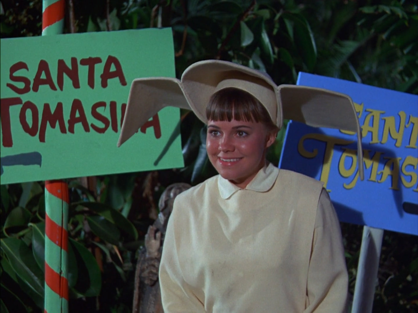 The Flying Nun Seasons 1 & 2 - 8 Disc Blu Ray Set